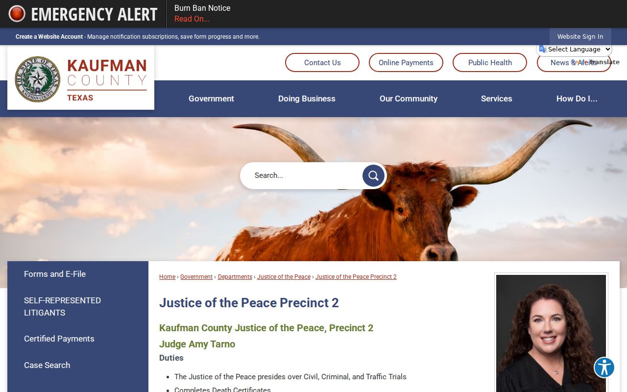 Kaufman County bench warrant reference, JP2 case and payment channel